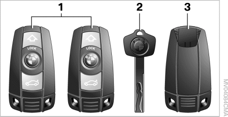 1 Электронный ключ представляет собой пульт дистанционного управления (ДУ), в