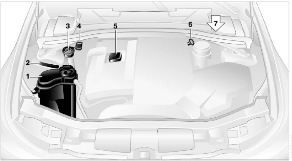1 У автомобилей с бензиновыми двига телями: бачок системы охлаждения.