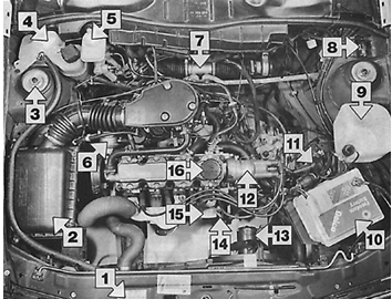 Моторный отсек с двигателем 1,6 л 1989 г. (двигатель 16 SV) 1 – идентификационная