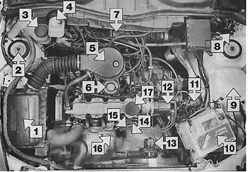Моторный отсек с двигателем Cavalier 1,6 л с 1991 г. (двигатель С16 NZ) 1