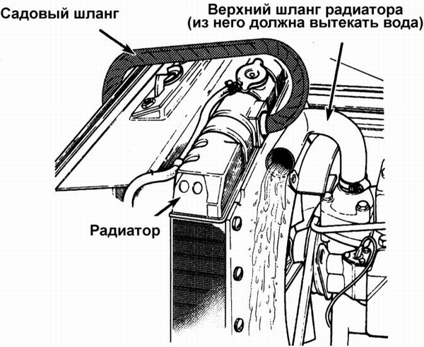 3. Отсоедините верхний шланг от радиатора и вставьте в патрубок последнего садовый