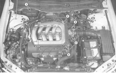 Схема расположения компонентов систем управления двигателем/снижения токсичности