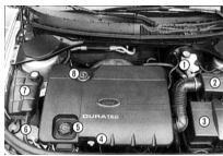 Моторное отделение Duratec-HE 16V: