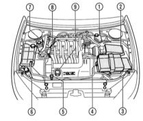   Duratec-HE 24V: