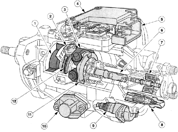   VP 30