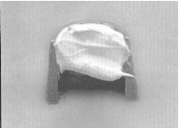 16. Посадите на пружину тарелку, затем сожмите пружину(ы) при помощи специального